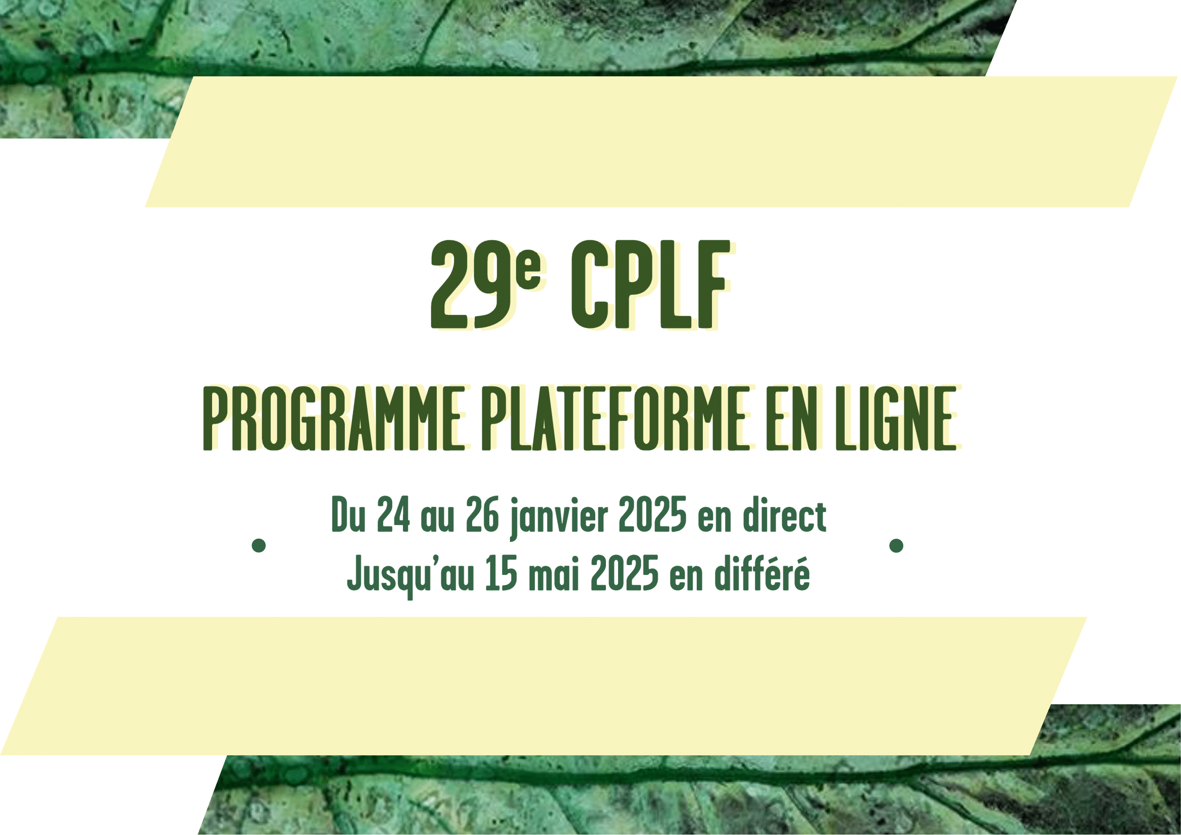 Plateforme_Programme-direct-29e-1.png